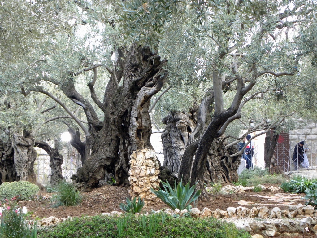 what does jesus say about fear gethsemane